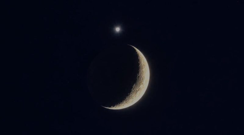 RARE MOON