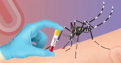 Dengue