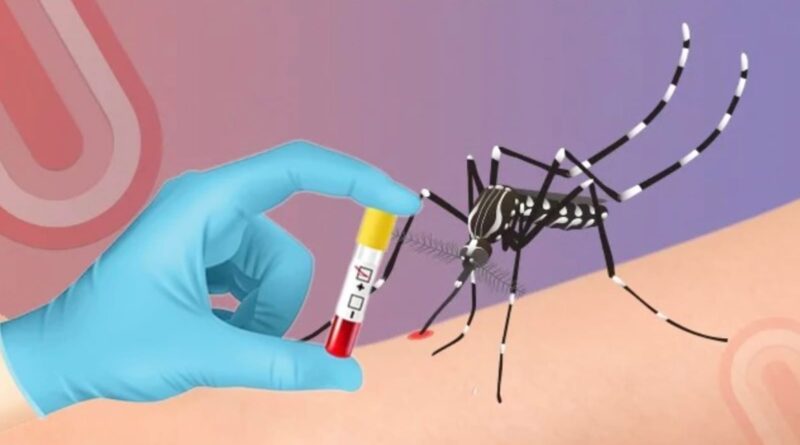 Dengue