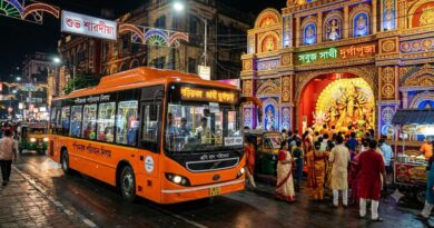 Pandal Hopping