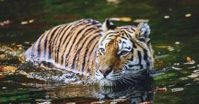 Buxa Tiger Reserve