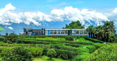 Toy Train